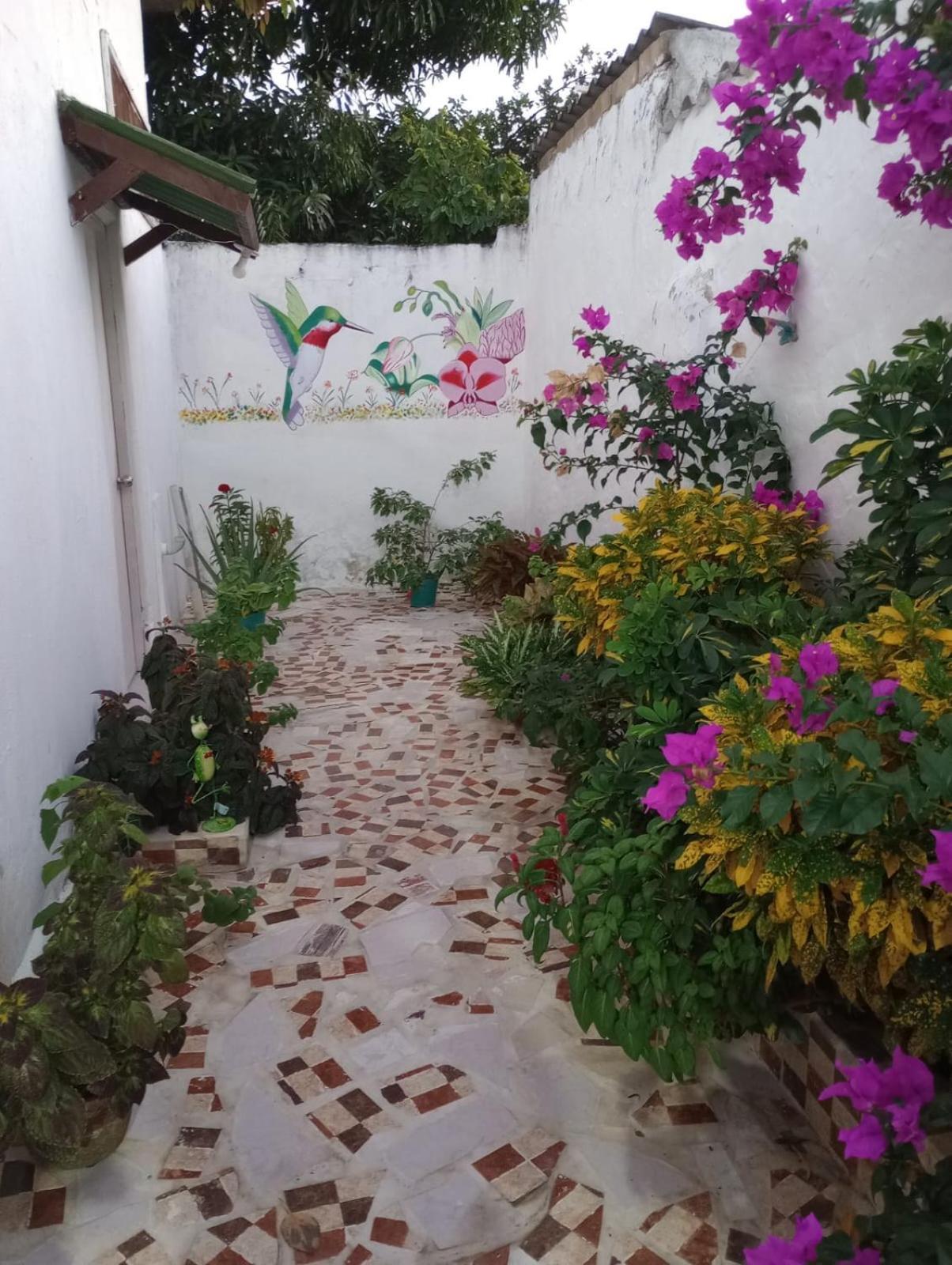 Hospedaje Casa Pachi En Cartagena De Indias Eksteriør billede
